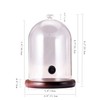 TMKEFFC Smoking Cloche For Food Drinks With Wood Base, Cocktails