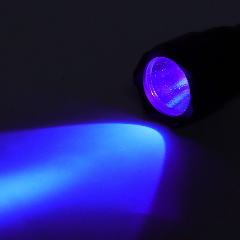 Ultraviolet Flashlight High Brightness Multifunctional Portable UV Flashlight for Pets