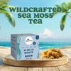 Sea Moss Tea, Pure Wildcrafted Organic Sea Moss Tea 92