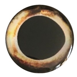 Brule 3-D Hard Epoxy Eyes (Rogue, 10mm)