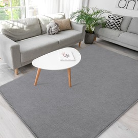 Grey Rugs for Living Room,Minimalist Area Rugs 4x6,Soft Memory-Foam Rugs for Bedroom,Thicked Rugs for Men Boys Girls Kids Nursery Room,Washable Dorm Apartment Rug Floor Carpets