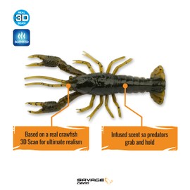 4D Craw 3" 6 pcs (Green Pumpkin) 3426 One Size