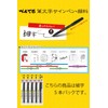 Pentel XSESP15FA Brush Script Sign Pen, Pigment Type, Fine Point,