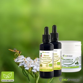 Kidney Liver Bladder Cleanse Detox Kit - Support - Full Pack - Made in Germany by Biotraxx