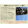 Pururunhime PH-WK-SP-50 Energetic Wakame Seaweed Soup, Pack of 50
