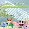 Crochet Kit For Beginners, Beginner Crochet Kit For Kids and