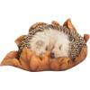 Vivid Arts Baby Hedgehog in Leaf Highly Detailed Home or