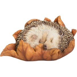 Vivid Arts Baby Hedgehog in Leaf Highly Detailed Home or Garden Decoration (XRL-HH09-F)