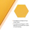 Maybee Hives 100% Beeswax Langstroth Beehive Box With Pine Wooden