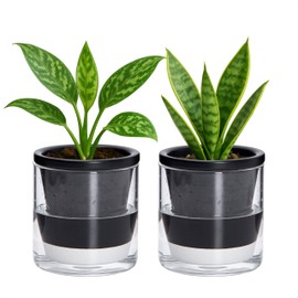 D'vine Dev Self-Watering Black Terracotta Planter, 4 in, 2-Pack, 37-Y-A-3
