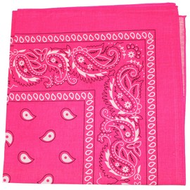 Daily Basic 12 Pack Cotton 22 x 22 inches Paisley Printed Bandana (Neon Pink)
