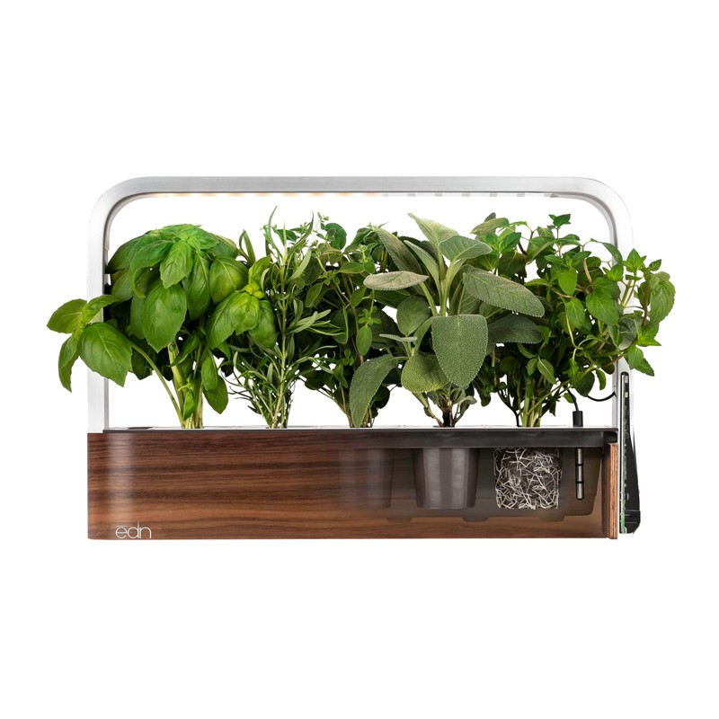 edn SmallGarden Lettuce Mix SeedPods - 10 Pack