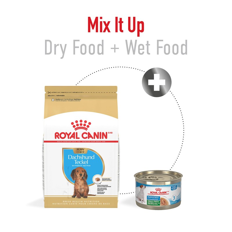Royal Canin Breed Health Nutrition Dachshund Puppy Dry Dog Food,