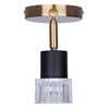 Canarm Elsee 2-Light Track Lighting Black and Gold with Clear