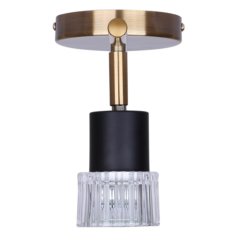 Canarm Elsee 2-Light Track Lighting Black and Gold with Clear