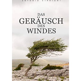 Das Geräusch des Windes: Hoffnungslos, unmenschlich und ohne einen Ausweg