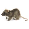 Rat Plush Soft Toy by Hansa 7236 19cm