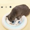 Cat Active Rolling Ball Colourful Light Circularly Charging Electric Automatic