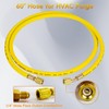JZWELD Nitrogen Regulator, Nitrogen Gauge HVAC with 60" Hose, 0-800