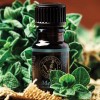 Aceite Esencial Europeo De Menta 100% Puro Multiusos 10ml