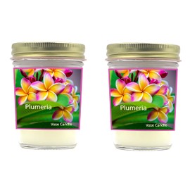 Plumeria Vase Candle - Smells like Plumeria Flowers. (Double Jars)