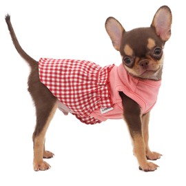 LOPHIPETS Dog Plaid Dress for Small Dogs Girl Teacup Chihuahua Yorkie Puppy Cat Clothes-Red and White Plaid/XXS