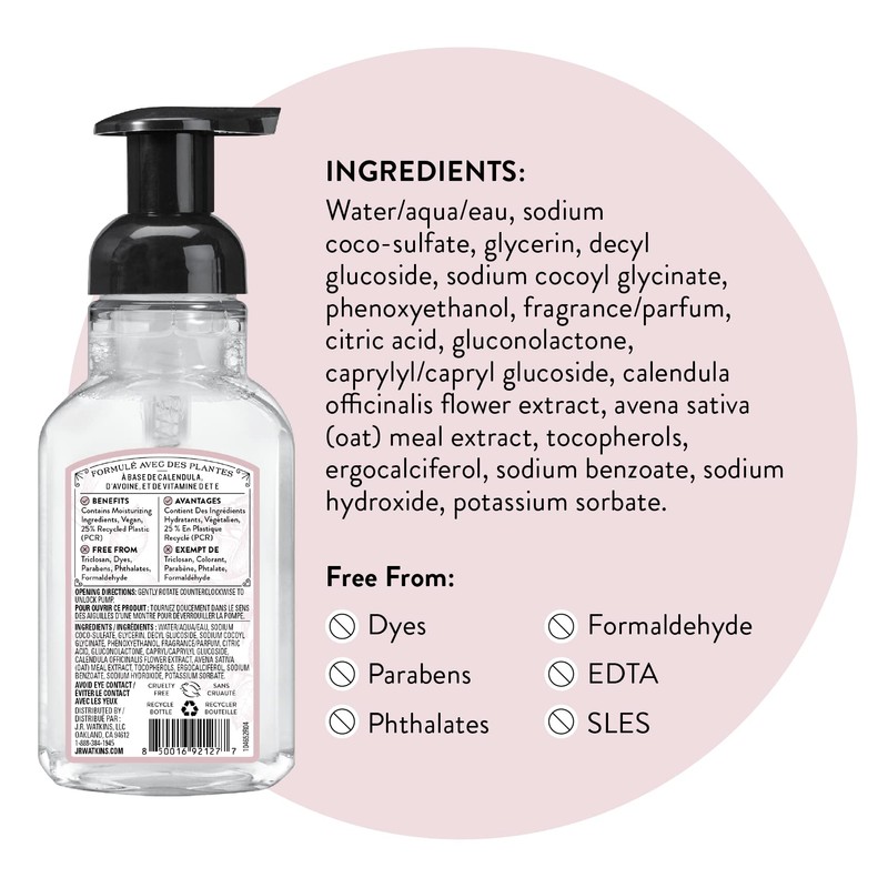 J.R. Watkins Foaming Hand Soap with Pump Dispenser, Moisturizing Foam