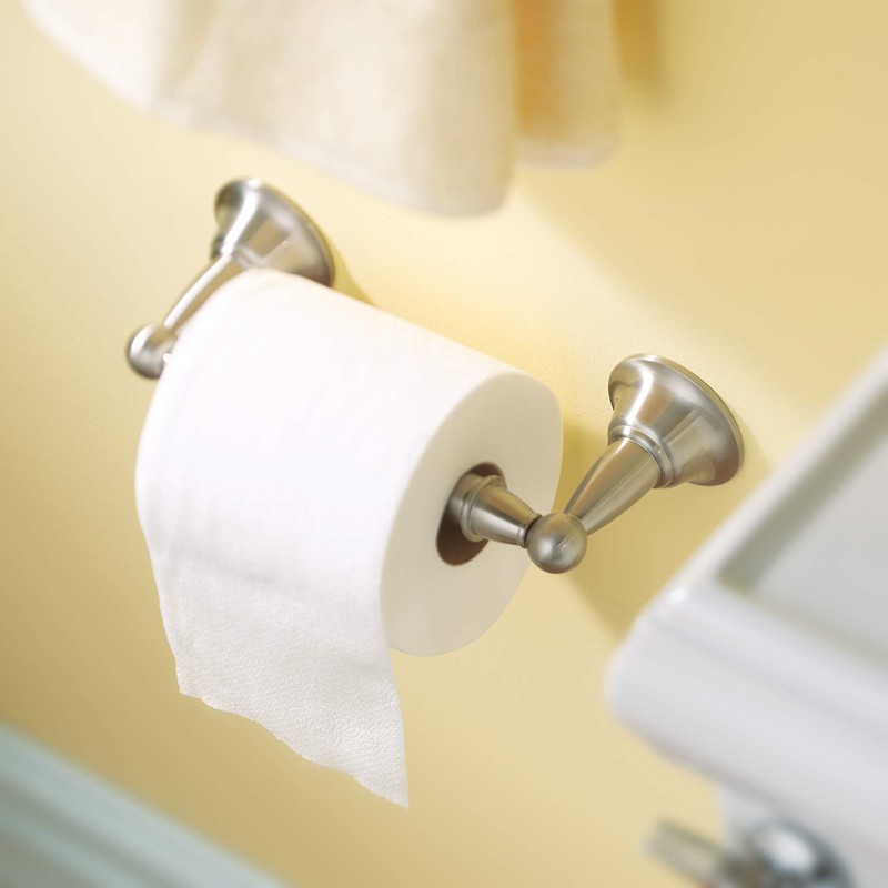 Moen DN6808BN Sage Toilet Paper Holder, Brushed Nickel