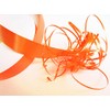 100 m Poly Ribbon 25 mm Wide: Orange