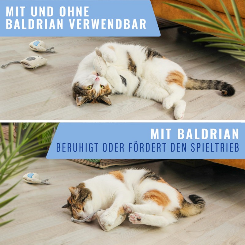 ne&no® Cat Toys with Baldrian Refillable – 100% Natural –
