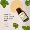 AROMAFUME Peppermint Essential Oil - 100% Natural, Therapeutic Grade Essential