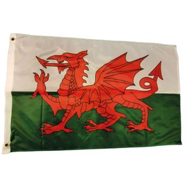 NWFlags Outdoor Heavy Wales Flag 3ft x 2ft 110d Knitted Polyester Suitable for Flagpoles