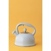 Typhoon Otto Collection | Stovetop Kettle - Blue