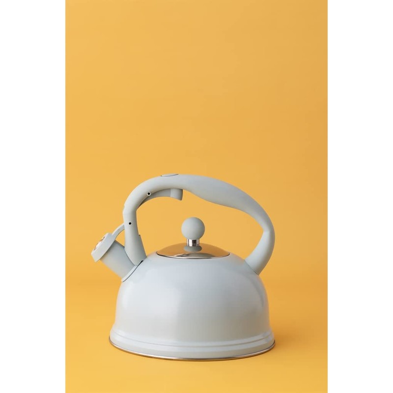 Typhoon Otto Collection | Stovetop Kettle - Blue