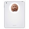 2 x 10cm Cute Cockapoo Puppy Vinyl Stickers - Dog