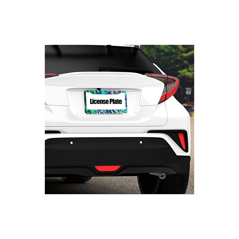 NEWCOCO Customized License Plate Frame 12×6 inch American and Canadian