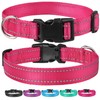 Reflective Dog Collar with Buckle Adjustable Safety Nylon Collars for
