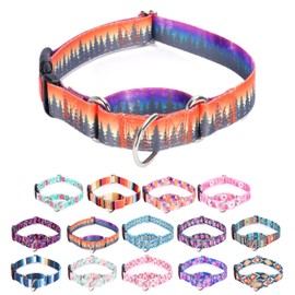 Moonpet Martingale Collar for Dogs Adjustable Soft Durable Dog Collar for Small Medium Large Boy and Male Dogs No Pull No Slip Safety Buckle Dog Collars-Forest/Small