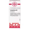DHU Lycopodium C6 Spreading Balls 10 g Globules