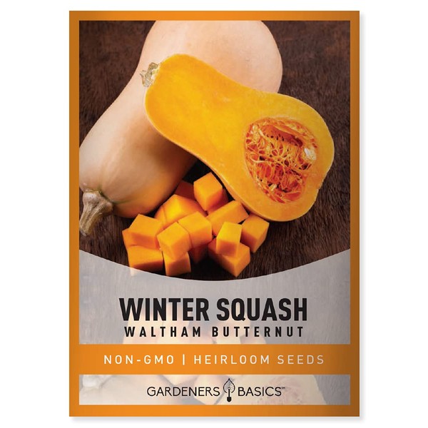 Gardeners Basics, Butternut Squash Seeds for Planting - Waltham Heirloom