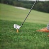 Tee Rubber, 8-Piece Rubber Tees Unbreakable Tees Base Driving Range