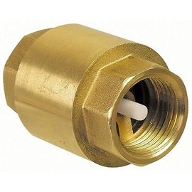 'Non Return Valve 3/4 Inch Brass Verhinderer Non Return Valve