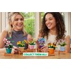 MAX Premium Garden Pot Plants Building Bricks Collection (up to