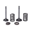 Cancanle Intake Inlet Exhaust Valve Spring Retainer Set for Honda
