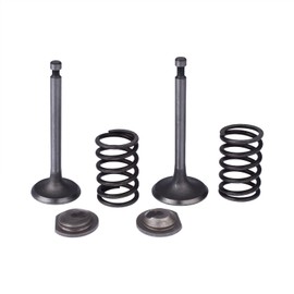 Cancanle Intake Inlet Exhaust Valve Spring Retainer Set for Honda GX340 GX390 11HP 13HP Gas Engine Motor Generator