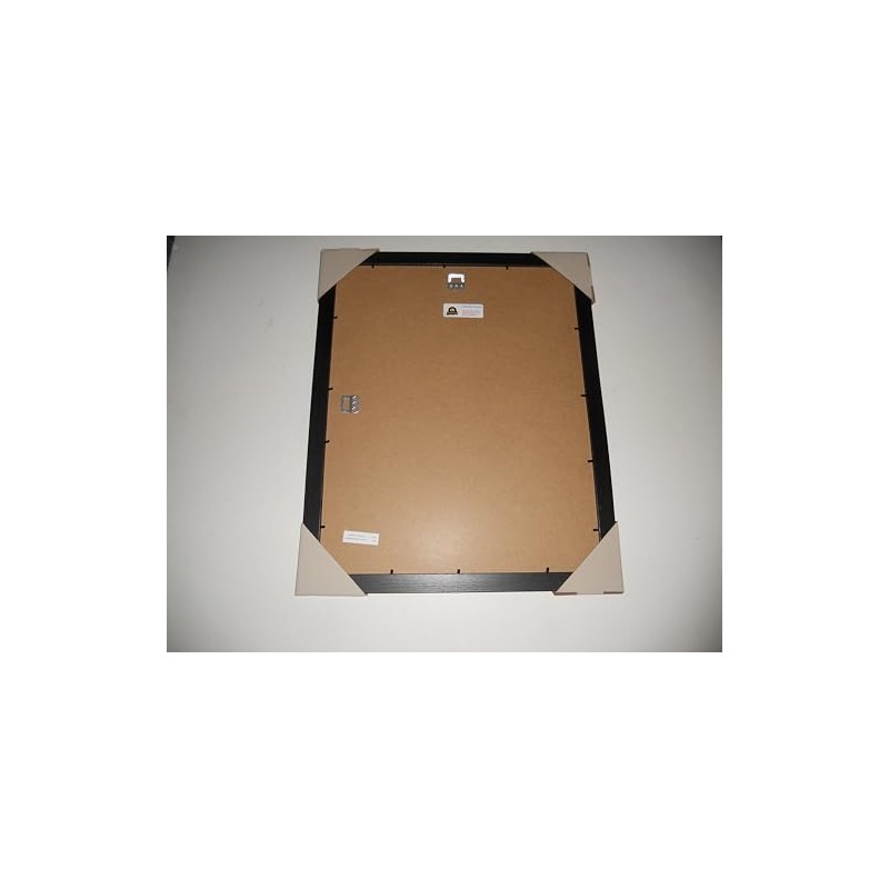 Framed Early Grateful Dead 1966 Warlocks Bob Weir, Jerry Garcia,