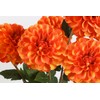 IPOPU 5 Pcs Orange Artificial Dahlia with Stem 27” Silk