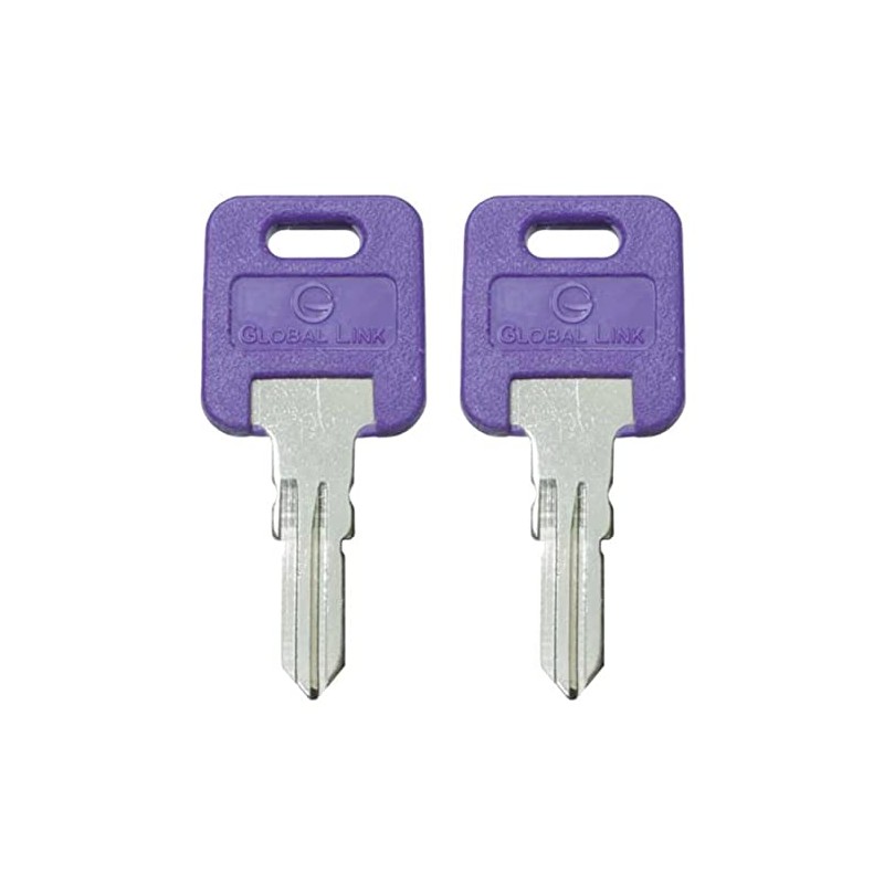 1 Pair (2 Keys) Global Link Precut Keys G301 -