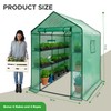 Elly Walk-in Outdoor Greenhouse with Durable PE Cover 56 x