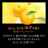 Kao Bub Blissful Citrus Meguri Bath, Carbonated, Bath Salt, Pack